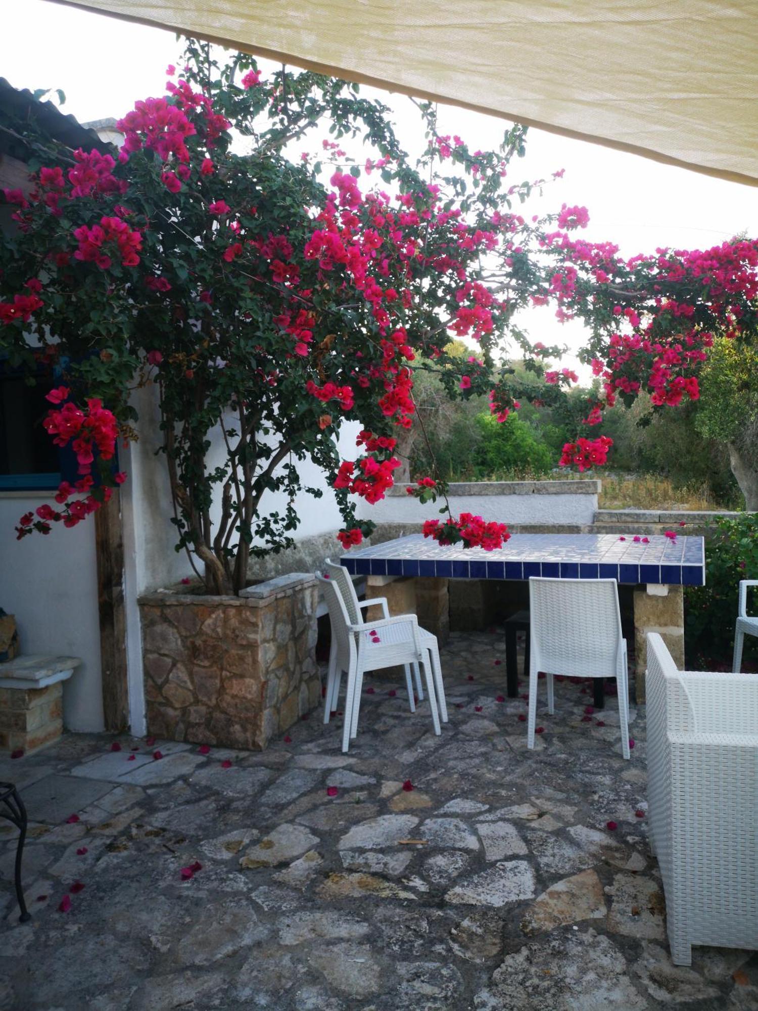 Azzurrosalento Villa Marina Serra Eksteriør billede